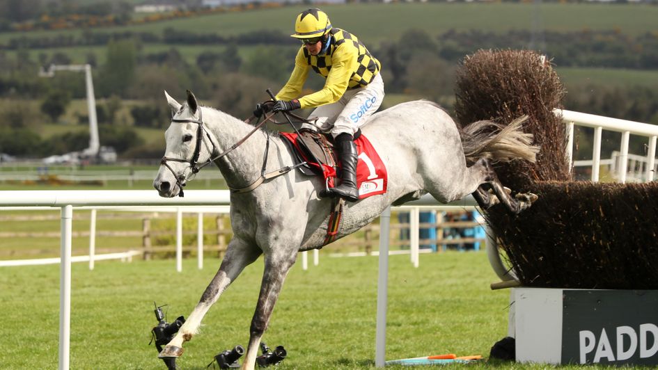 Asterion Forlonge wins at Punchestown