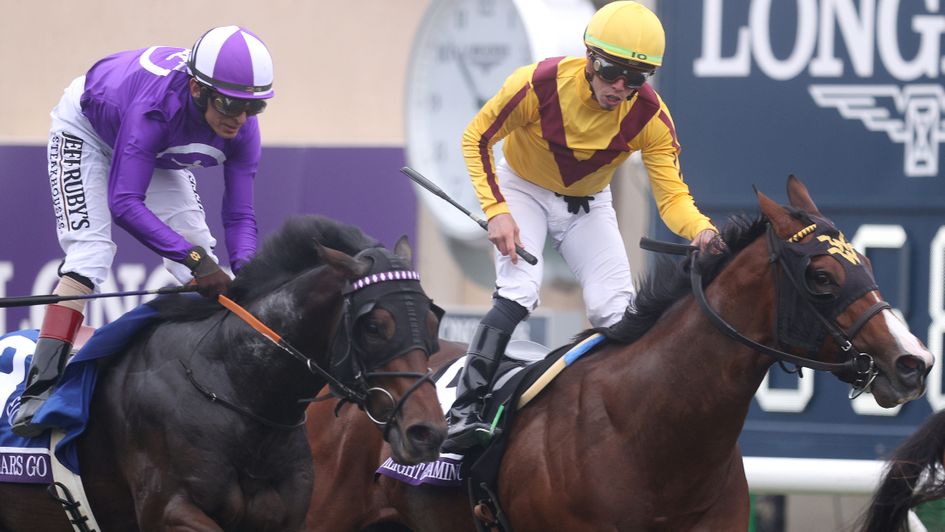 Go Bears Go (left) was second at the Breeders' Cup