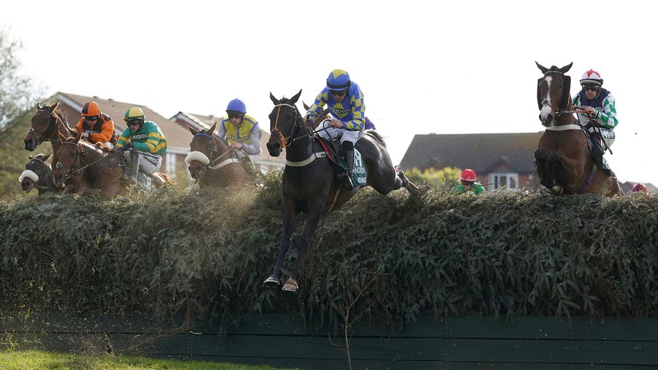 Roi Mage jumps over the National fences