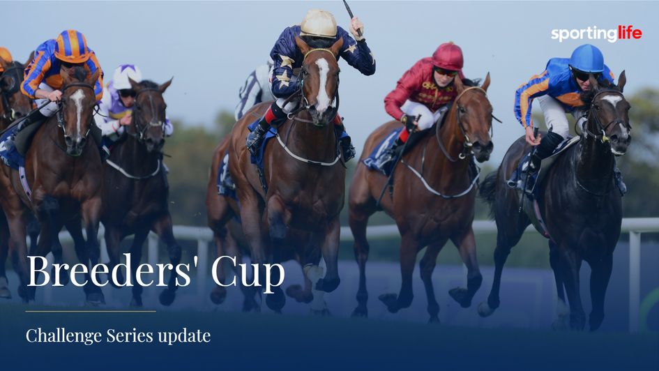 Champers Elysees wasn't the only one to enhance their Breeders' Cup potential