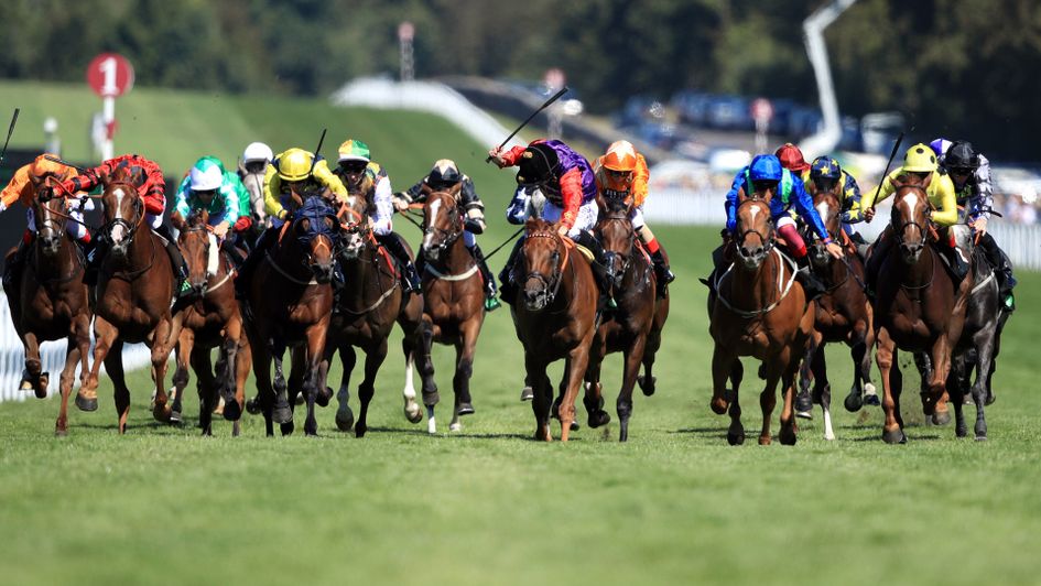 Seniority (pruple and red silks, black cap) wins the Unibet Golden Mile under Ryan Moore