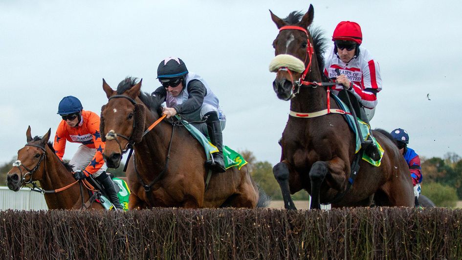 The Real Whacker (right) jumps for fun at Wetherby