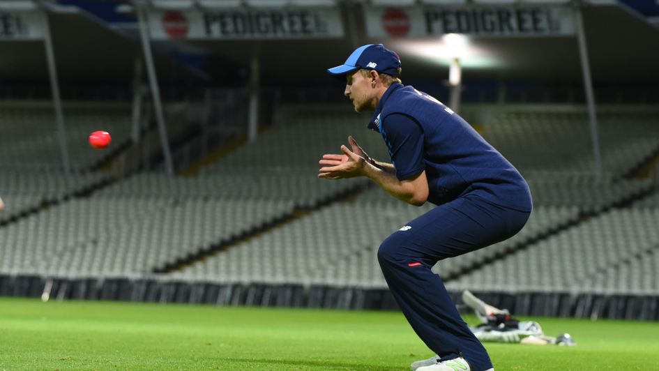 Joe Root trains under lights with the pink ball