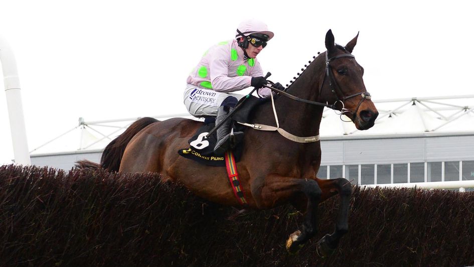 Gaelic Warrior impresses at Punchestown