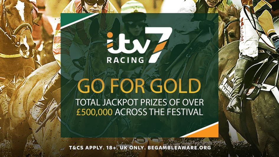 'Go For Gold' at the Cheltenham Festival