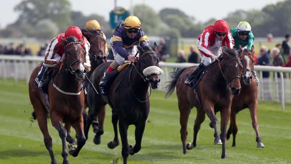 Dancing Brave Bear (centre, blue and yellow silks)