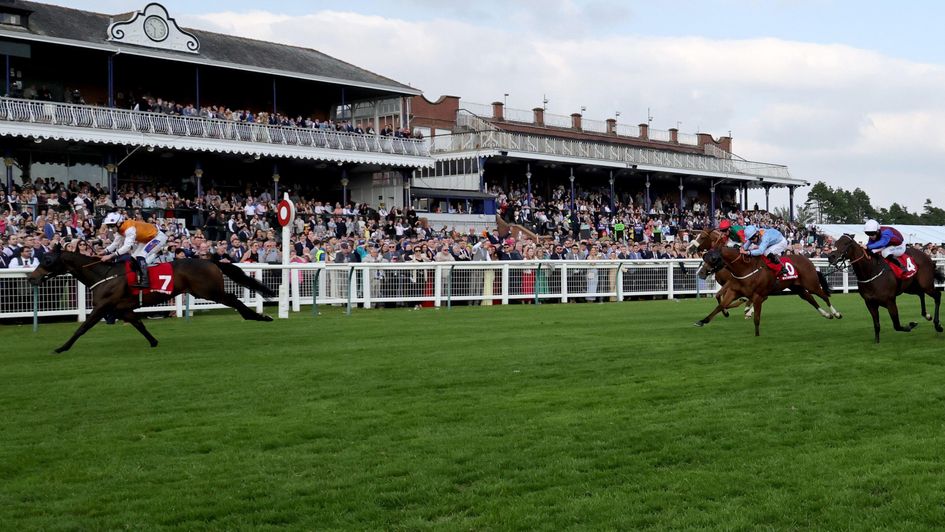 Lethal Levi wins the Ayr Gold Cup