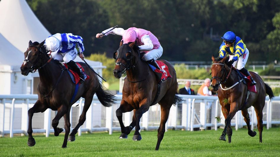Sweet William wins the Henry II Stakes