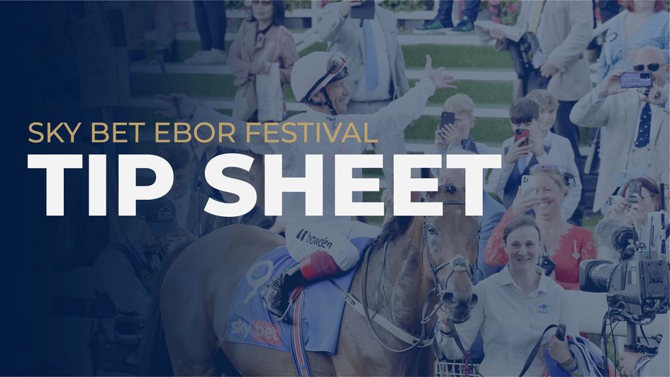 Ebor Festival Tips