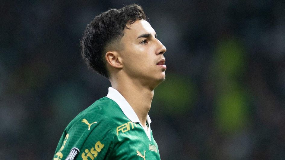 Palmeiras centre-back Vitor Reis