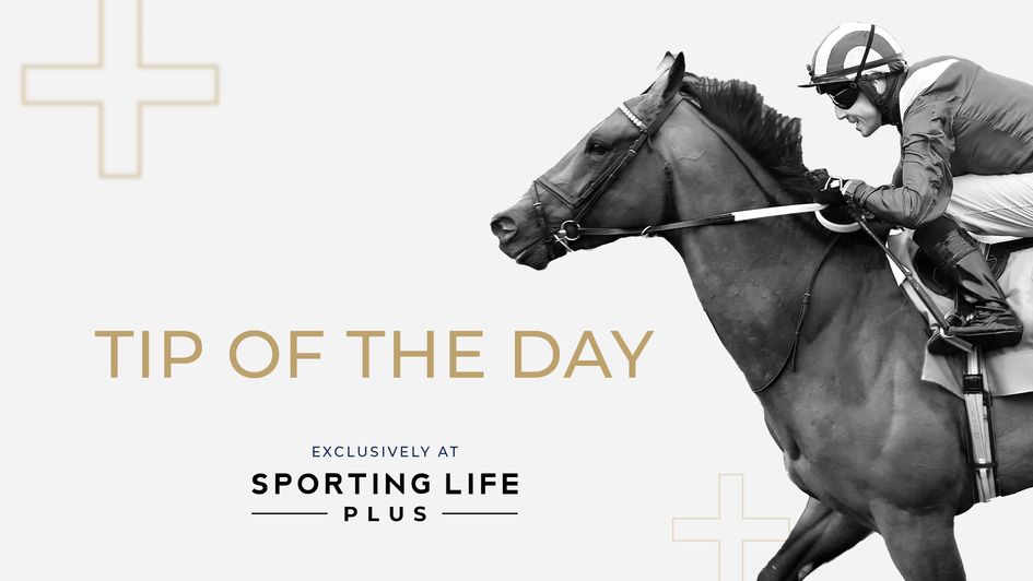 Sporting Life Plus Tip of the Day