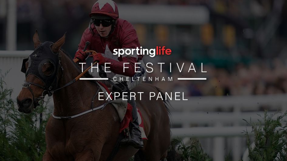 Watch our video previews of the Cheltenham Festival