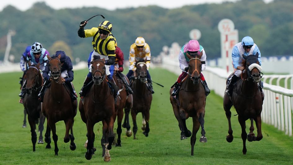 David Egan celebrates as Eldar Eldarov wins the Cazoo St Leger