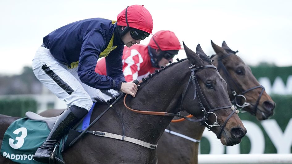 Embassy Gardens wins at Leopardstown