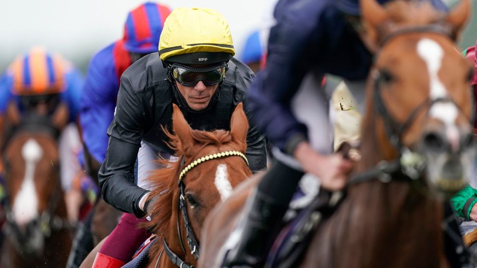 Stradivarius in mid-division at Ascot