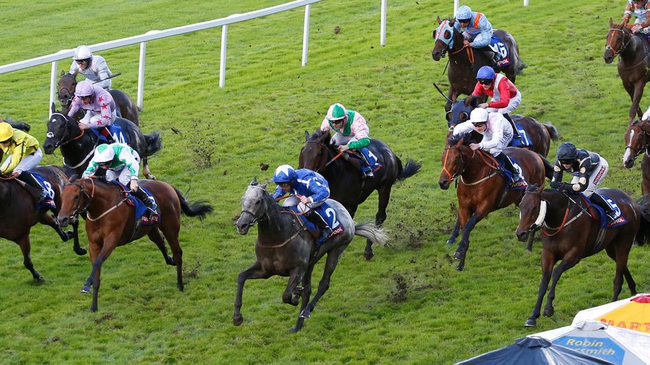 Librisa Breeze and Robert Winston win at Ascot