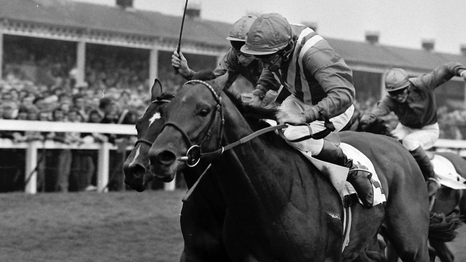 A huge crowd watches Comanche Run win the Leger