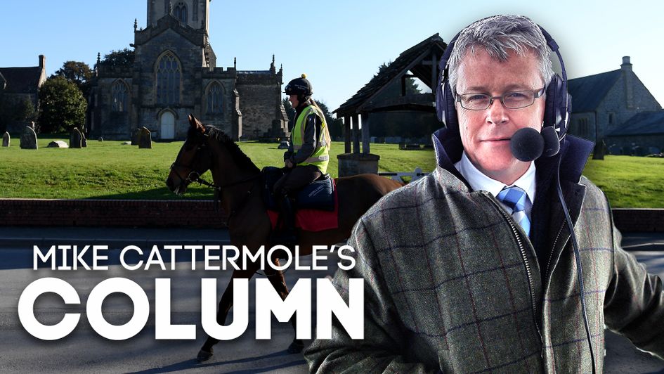 Mike Cattermole expects Paul Nicholls to have a good Cheltenham