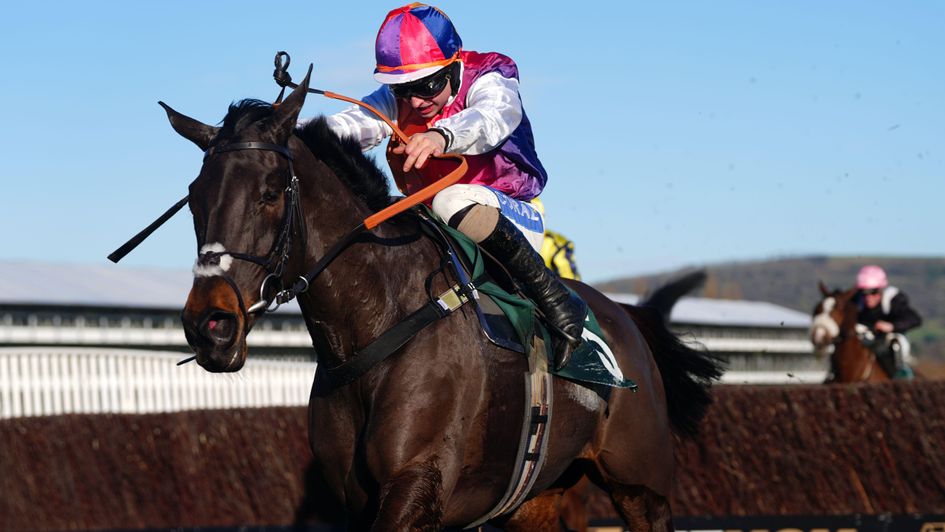 Haiti Couleurs wins at Cheltenham