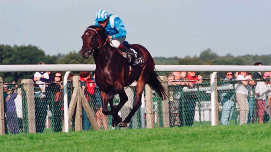 Bahri wins the QEII at Ascot