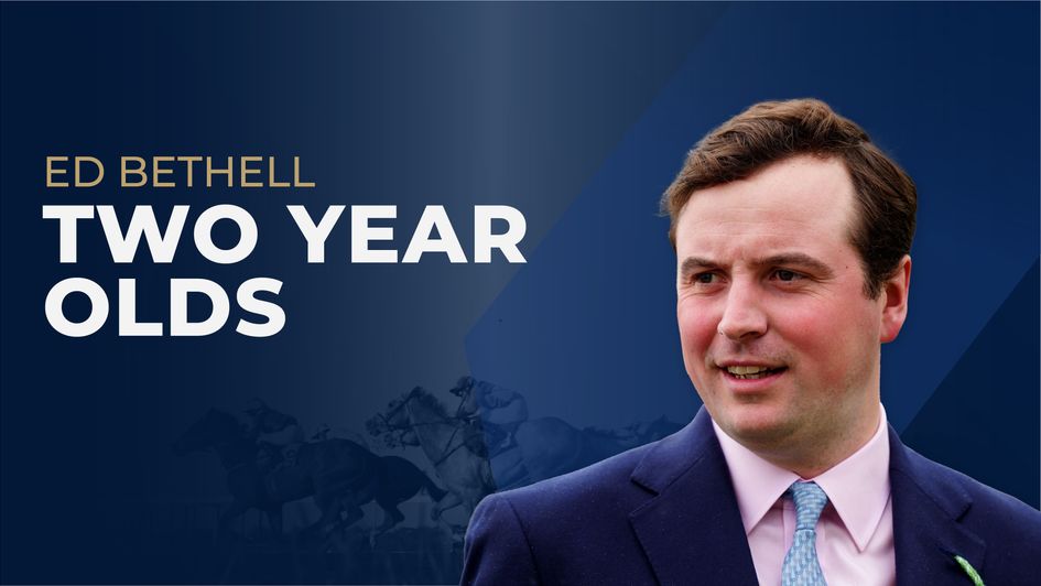 Ed Bethell Two-Year-Old Guide