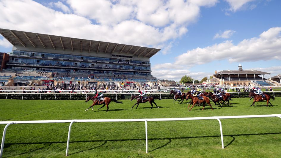 horse-racing-tips-today-timeform-ratings-and-flags-for-saturday