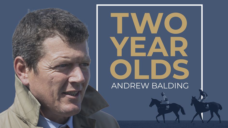 Two-Year-Old Guide: Andrew Balding