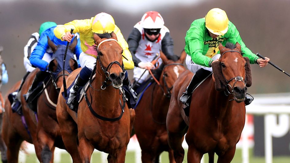 Dirty Rascal (left) goes close at Doncaster