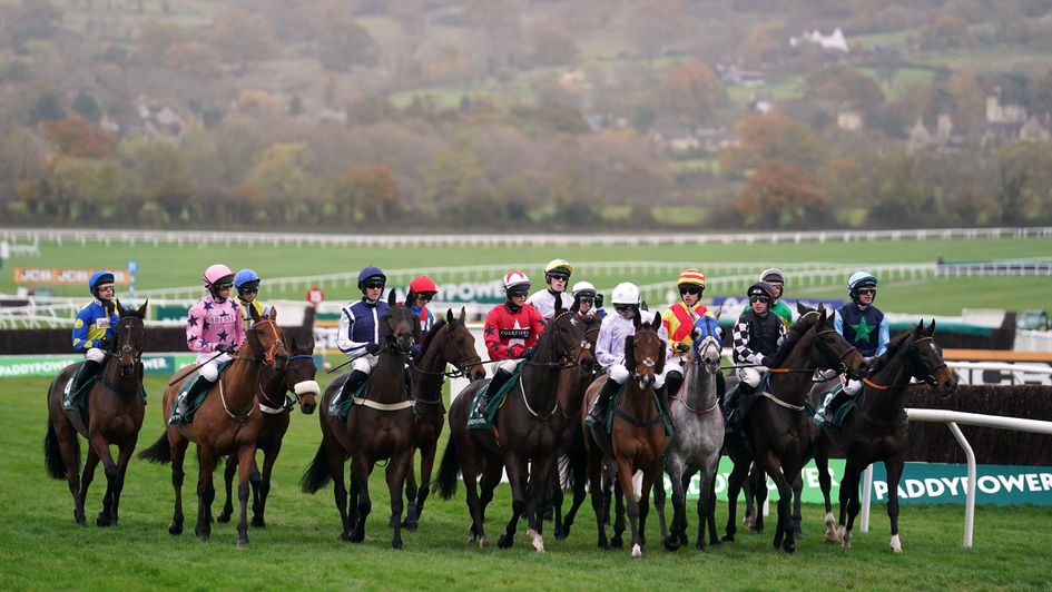 They gather at the start at Cheltenham