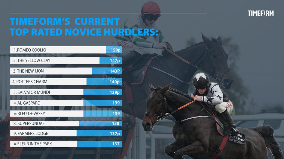 Timeform's top-rated novice hurdlers (correct 09/01/2025)