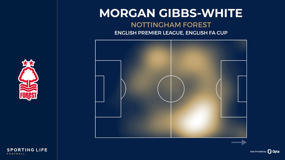 Gibbs White