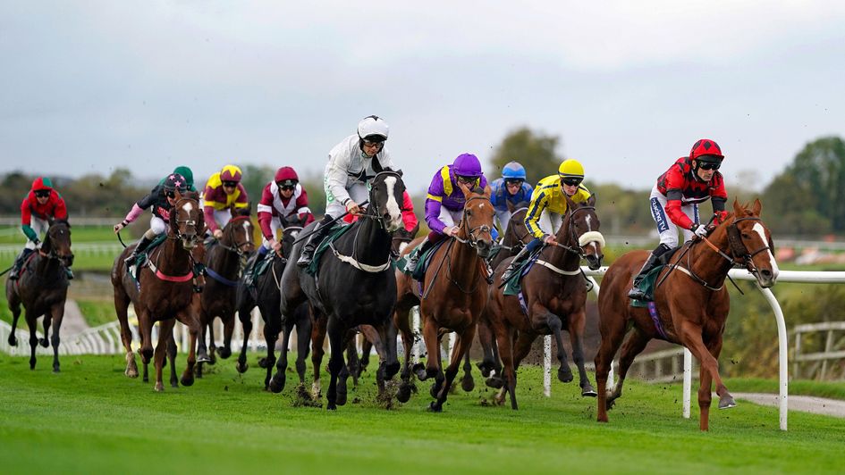 Catterick - Betfair customer found all six winners