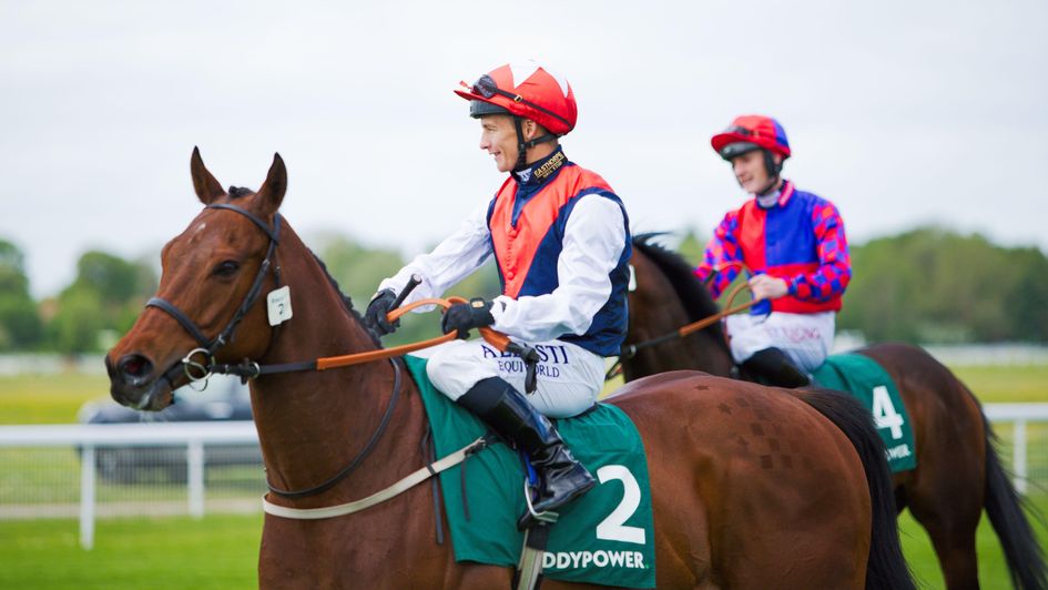 Copper Knight - entered in race named in his honour