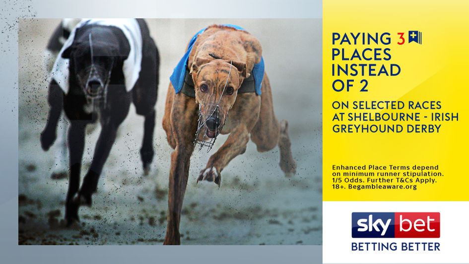 Irish Greyhound Betting