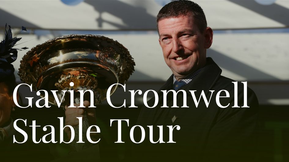 Gavin Cromwell Stable Tour