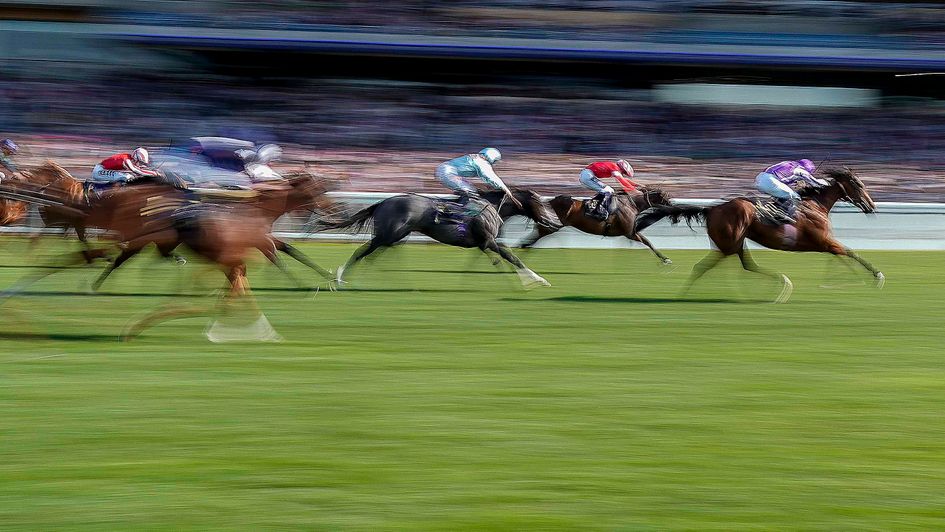 Little Big Bear lands a gamble in the Windsor Castle