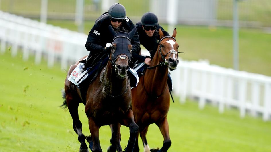 West Wind Blows (left) put through his paces at Epsom