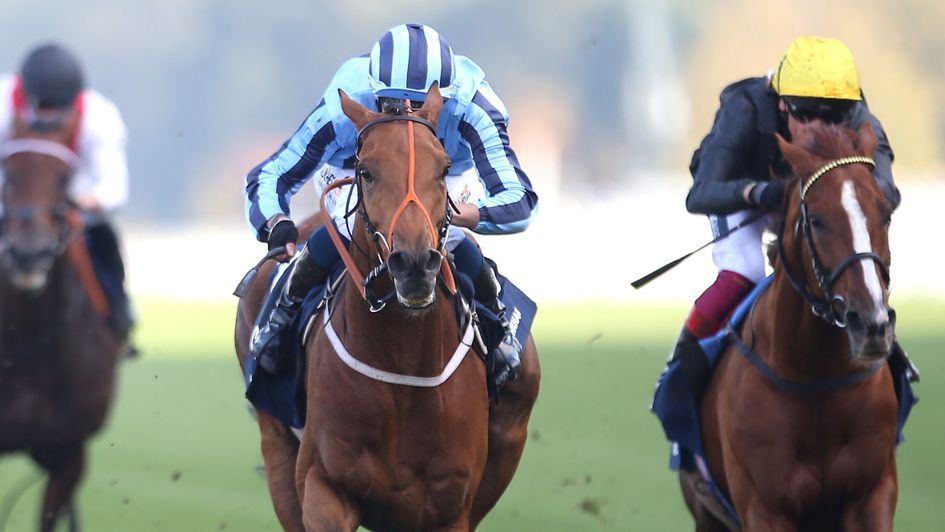 Tashkhan in action at Ascot