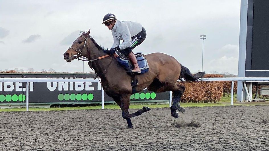 Constitution Hill moves well at Kempton