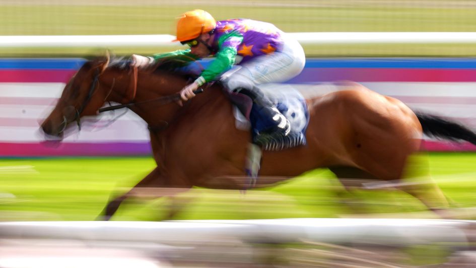 Spicy Marg makes a sparkling winning debut