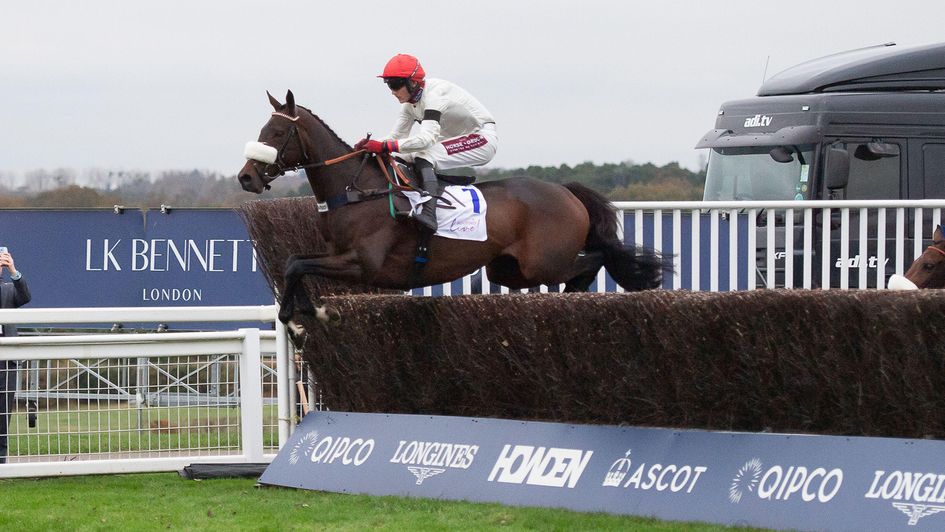 Chianti Classico, ridden by Tom Bellamy, on his way to winning at Ascot