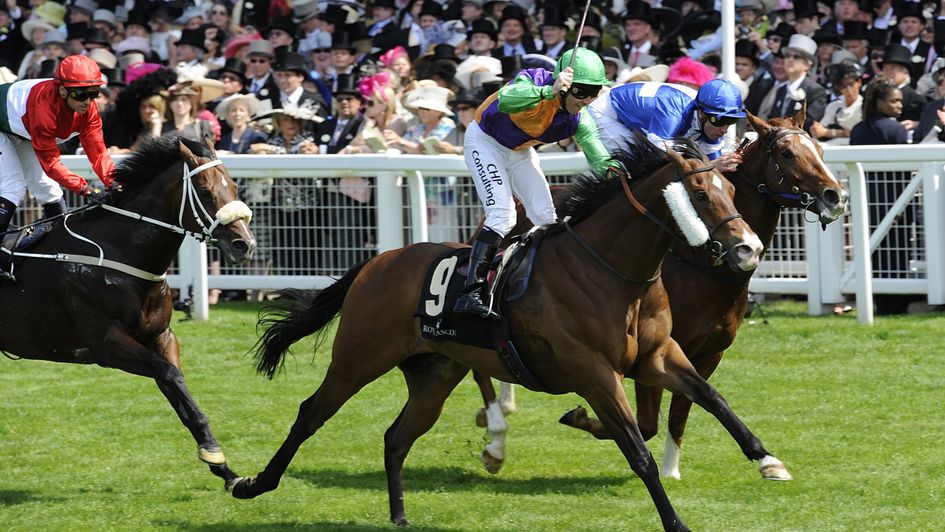 Prohibit wins at Royal Ascot