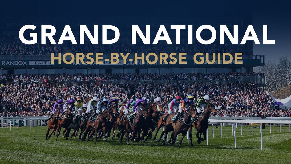 Grand National horse-by-horse guide