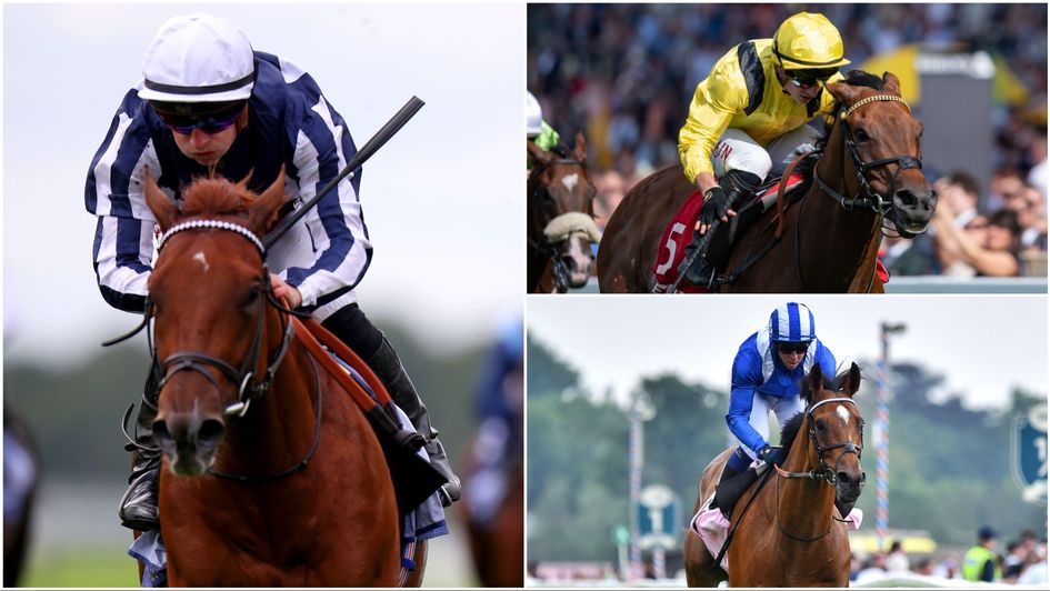 Some of the Haggas stars set to line up at York