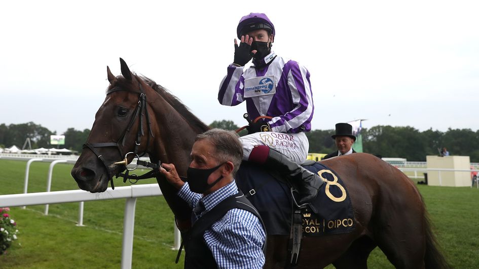 Oisin Murphy celebrates on Perotto