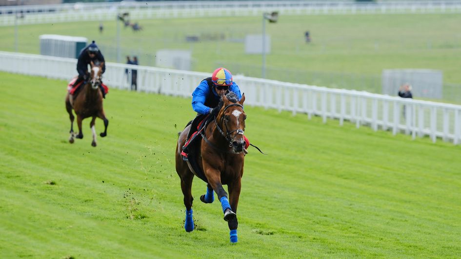 Arrest works at Epsom (Copyright: John Hoy/The Jockey Club