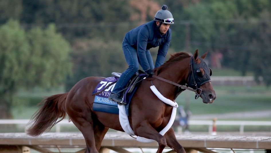 Breeders' Cup Juvenile contender Scabbard