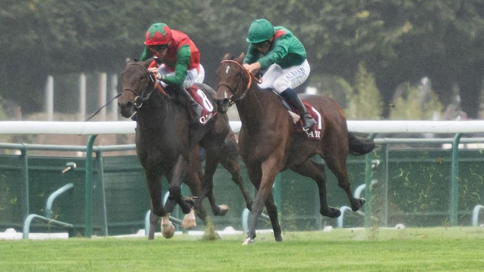 Vertical Blue (left) gets the better of Zarigana