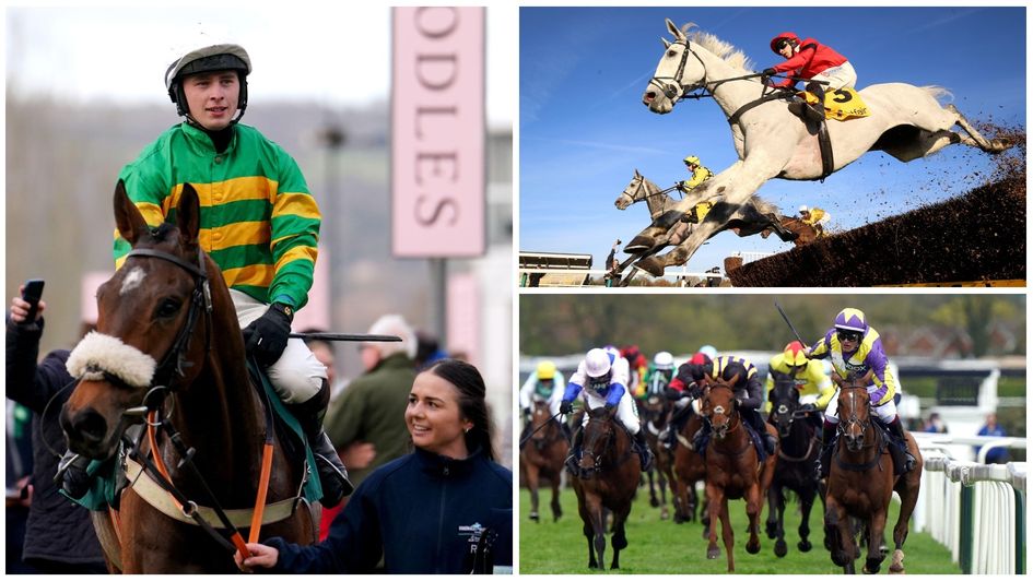 Some of the stars on show at Haydock this weekend