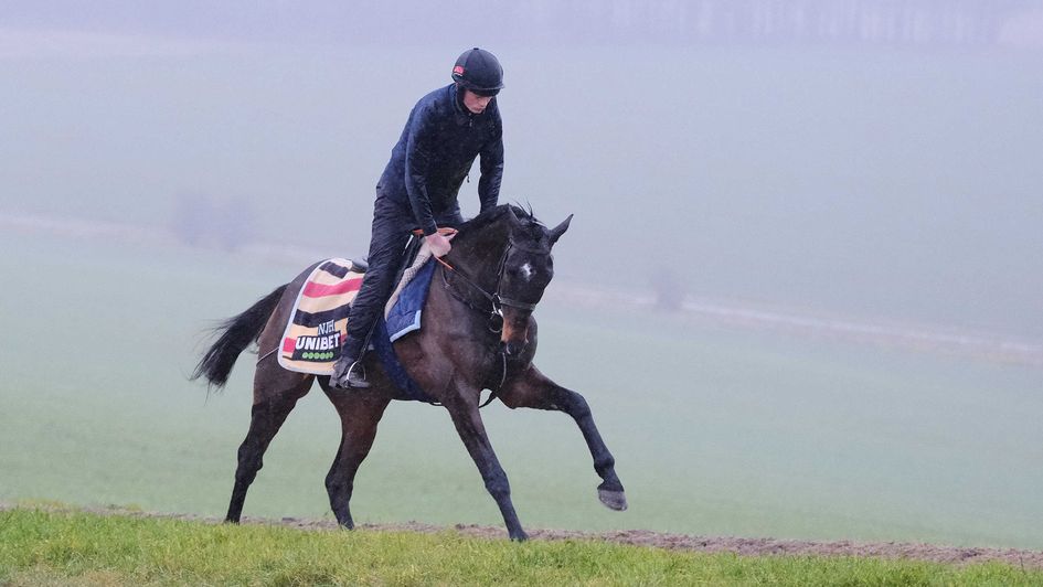 Constitution Hill on the gallops on Tuesday morning